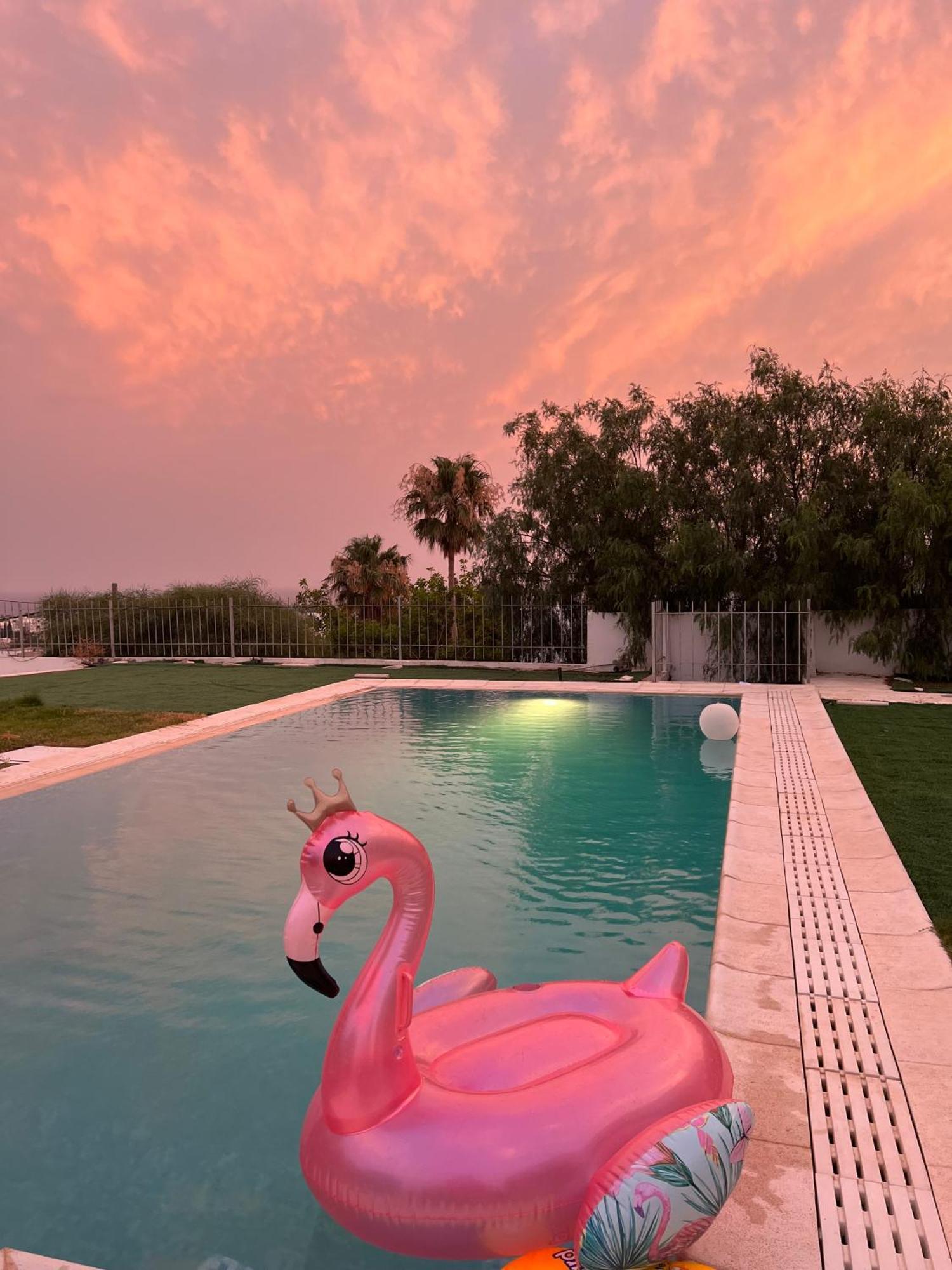 Chez Hayet Hotell Hammamet Exteriör bild